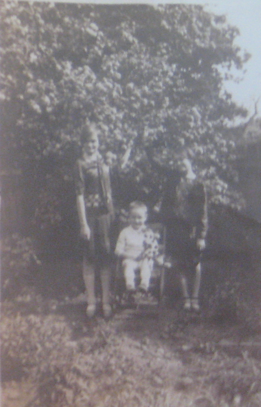 Biography Robert L. Jenkins